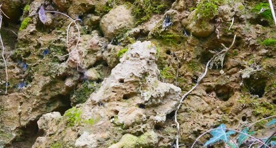 Lœss concrétionné en poupées.