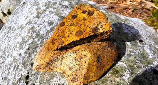 Monzogranodiorite à grenats