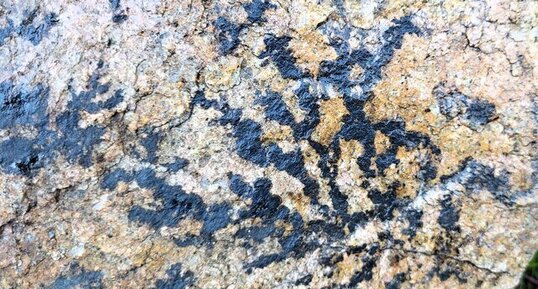 Dendrites de manganèse