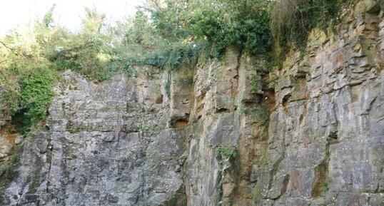 Carrière dans les carrières de Montmartin