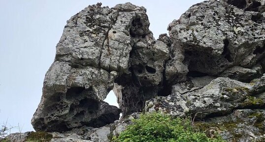 Corse - Cargiaca - Monte Pelosu - Monzosyénite