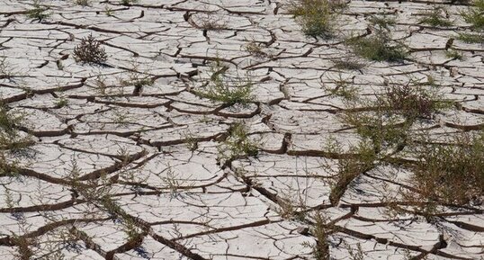 Fentes de dessication, Pampa de Leoncito.