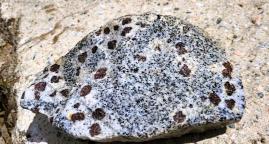 Monzogranodiorite à grenats