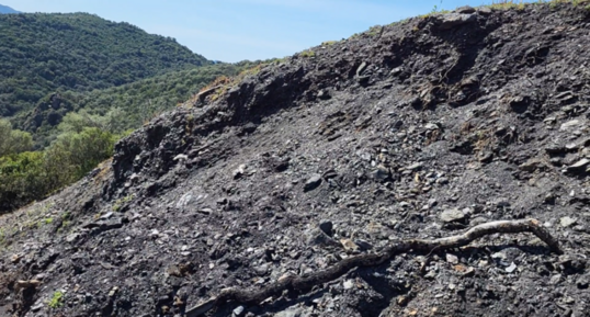 Corse - Osani - Anthracite