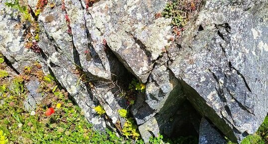 Corse - Ste Marie Figaniella - Hameau Giacomoni - Diorite