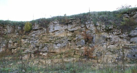 Mur de carrière Hettangien/Sinémurien