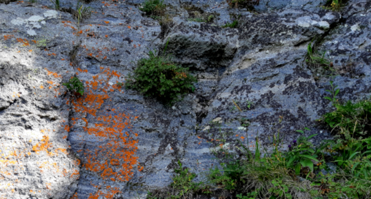 Mélange magmatique