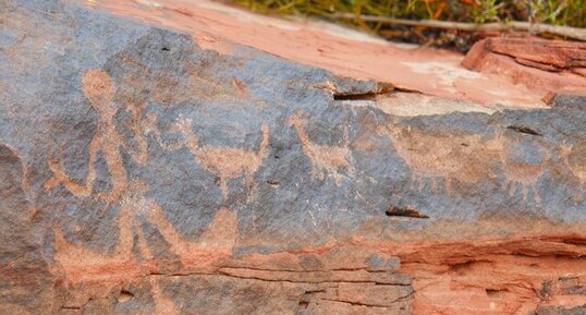 Pétroglyphe (art rupestre), Canyon de Talampaya, Argentine