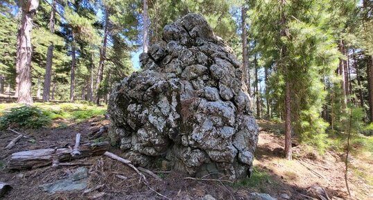 Corse - Rospigliani - Pillow lavas