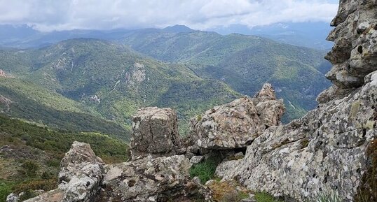 Corse - Cargiaca - Monte Pelosu - Monzosyénite