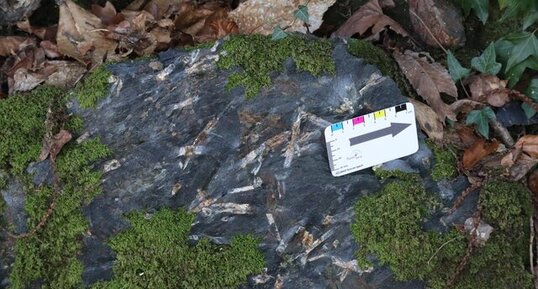 Cornéenne à andalousite