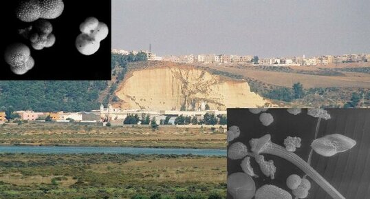 microfossiles marne de Salé