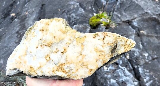 Marbre noir de Corte