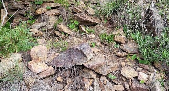 Corse - Ajaccio - Punta Alta - Gneiss