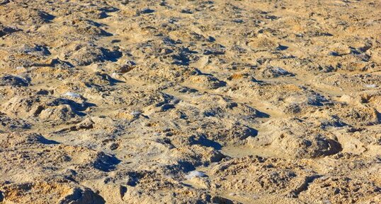 Surface formés par l'érosion de Thrombolites