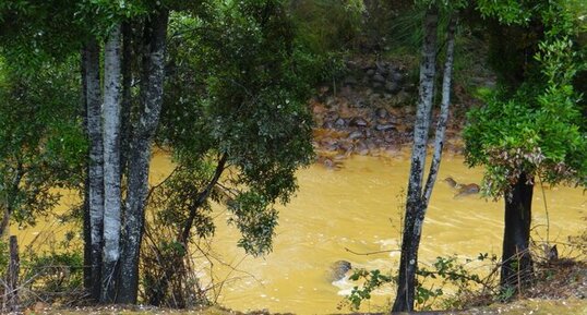 Tasmanie, Lynchford, King River