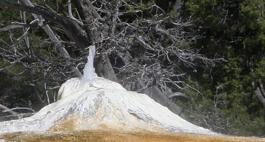 Fontaine jaillissante d'Orange Spring Mound, Mammoth, Yellowstone N.P.