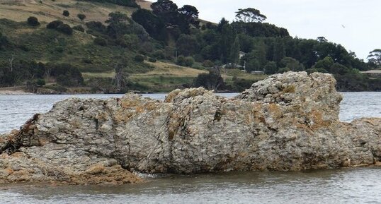 Tasmanie, Goat Island