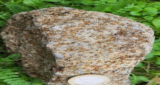 Troctolite