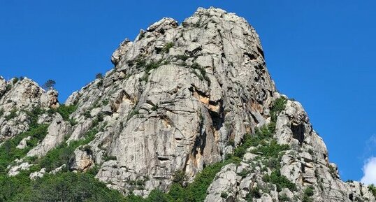 Corse - Venaco - Verghellu - Granite monzonitique leucocrate à grenats