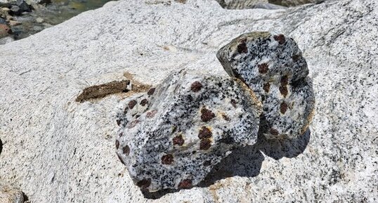 Corse - Bocognano - Granodiorite à Grenats