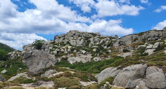 Corse - Zicavo - Plateau du Cuscionu - Chaos et Boules de Granite