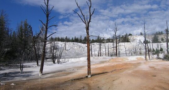 Paysage pétrifié à Mammoth, Yellowstone N.P.