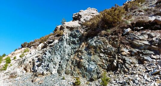 Corse - Muracciole - Schistes bleus
