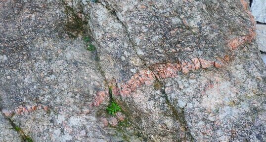 Filon de pegmatite dans le Gneiss rose de Cannes
