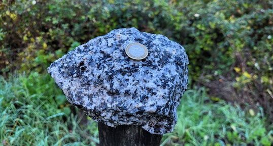 Granodiorites à amphiboles