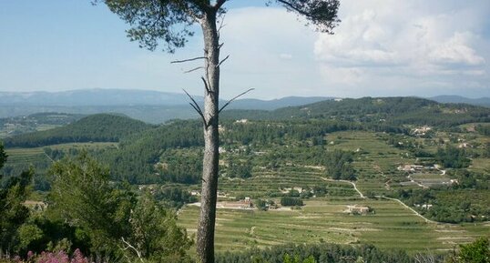 Le massif du Gros Cerveau (Var)