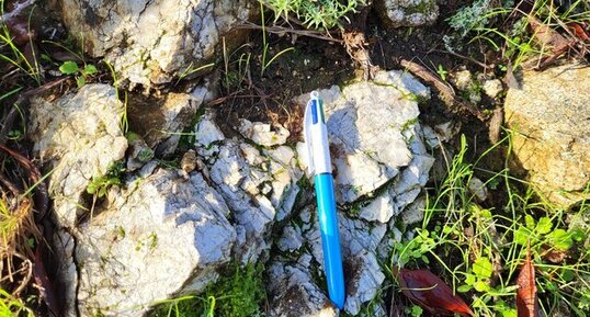 Corse - Arbori - Mercolaccia - Gneiss Anatectique