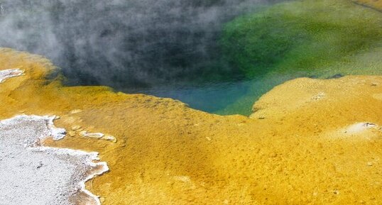 Source hydrothermal de Lower Geyser Basin.