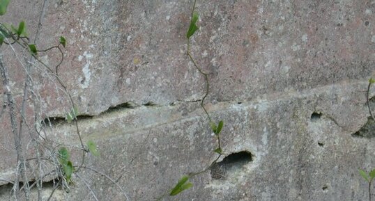 Cavités karstiques dans le calcaire de Beaulieu