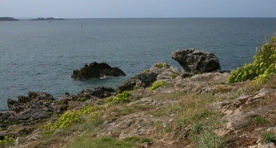 La pointe de la Roche Pelée