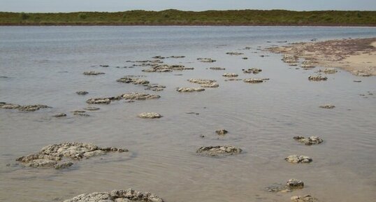 Lake Thetis, Western Australia