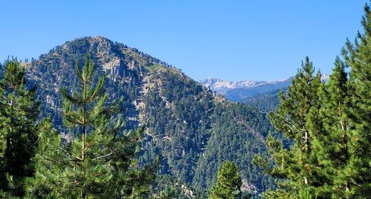 Corse - Muracciole - "Gneiss des Strettes"