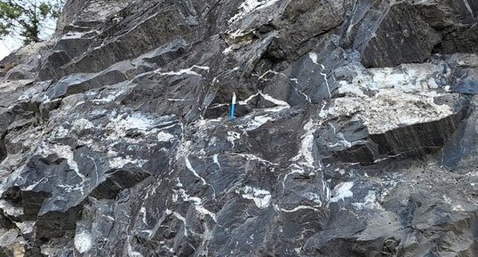 Marbre noir de Corte