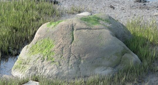 Bloc Rimouski (Zoom)