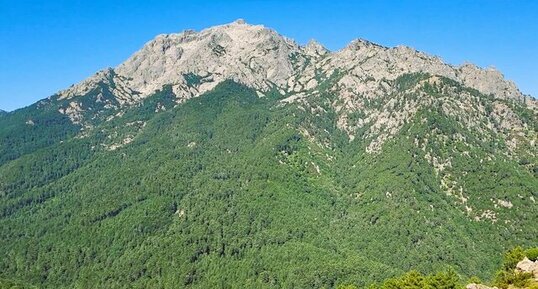 Corse - Muracciole - Campo Dei Meloni - Serpentinite