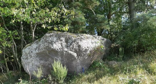 Mégabloc trachytique (Saint-Nectaire)