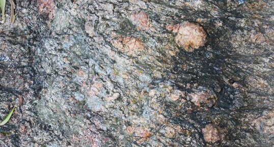 Faciès oeillé du gneiss rose de Cannes