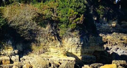 grès calcaire du cénomanien sur l'Ile d'Aix