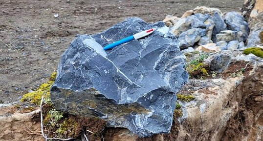 Marbre noir de Corte