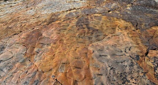 plage fossilisée
