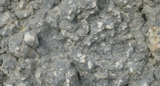 Calcaire à solenoméris