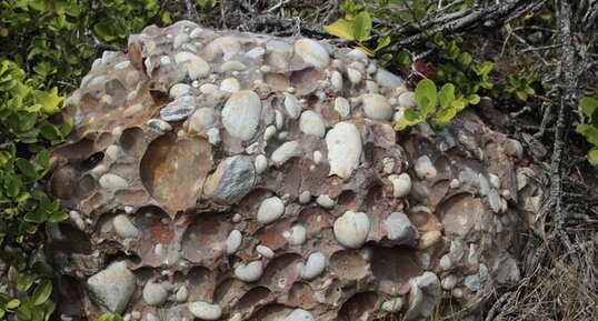 Conglomérat de la Formation Enon, Robberg Point