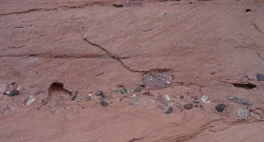 Niveau conglomératique dans les grès du Canyon de Shimpa.