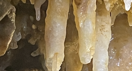 Illustration de la formation d'une stalactite monocristalline, à la grotte (…)