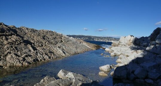 Calcaire bathonien du Cap d'Antibes.